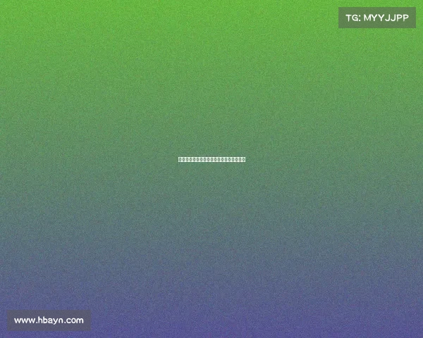 自由搏最高赛事、自由搏击国际比赛叫什么