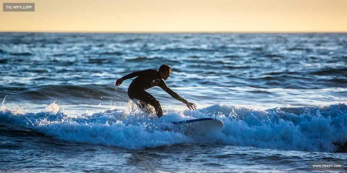 美狮贵宾会ms092021——🏇🌄驾驭风的方向，追逐梦想！